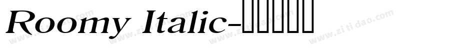 Roomy Italic字体转换